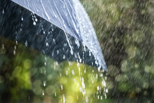 Article : La saison des pluies