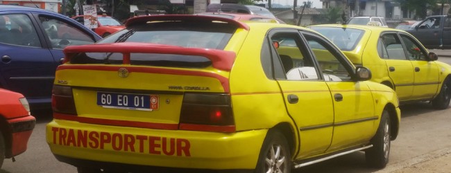 Article : J’ai appris à « décomposer »…